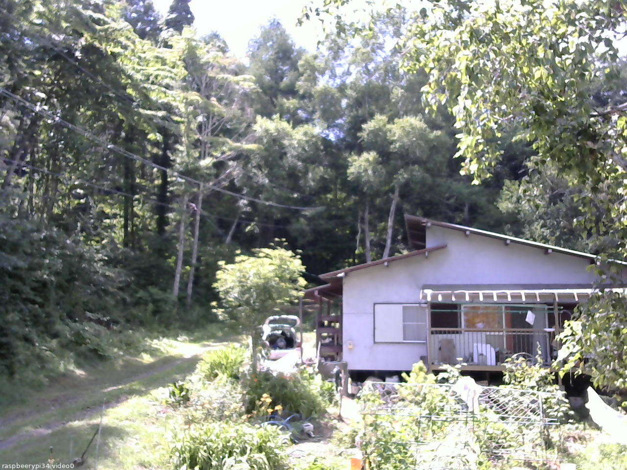 長野県菅平高原 ゆたか山荘 西側(坂上) 2025/07/31 13:00