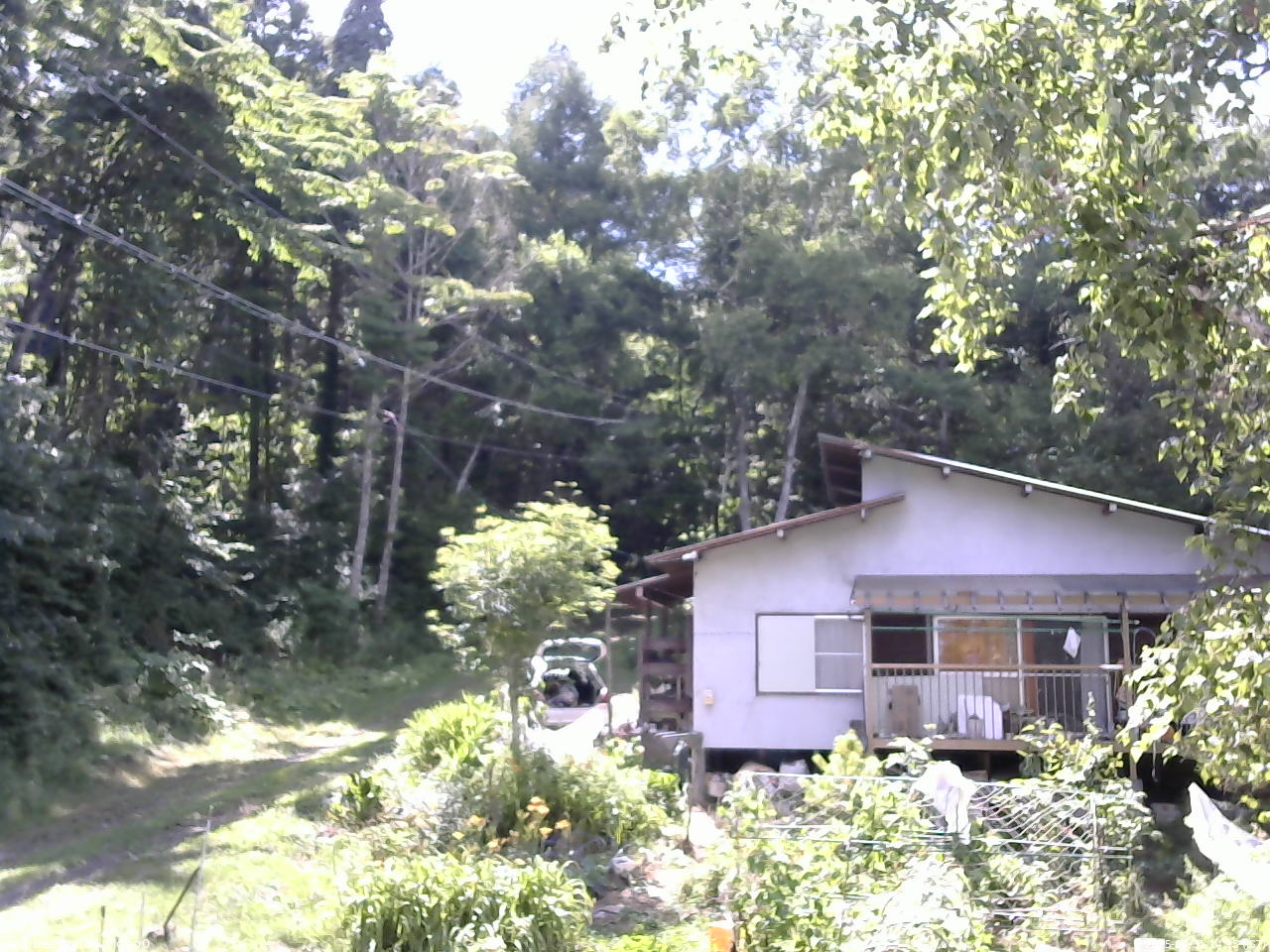 長野県菅平高原 ゆたか山荘 西側(坂上) 2025/07/31 14:15
