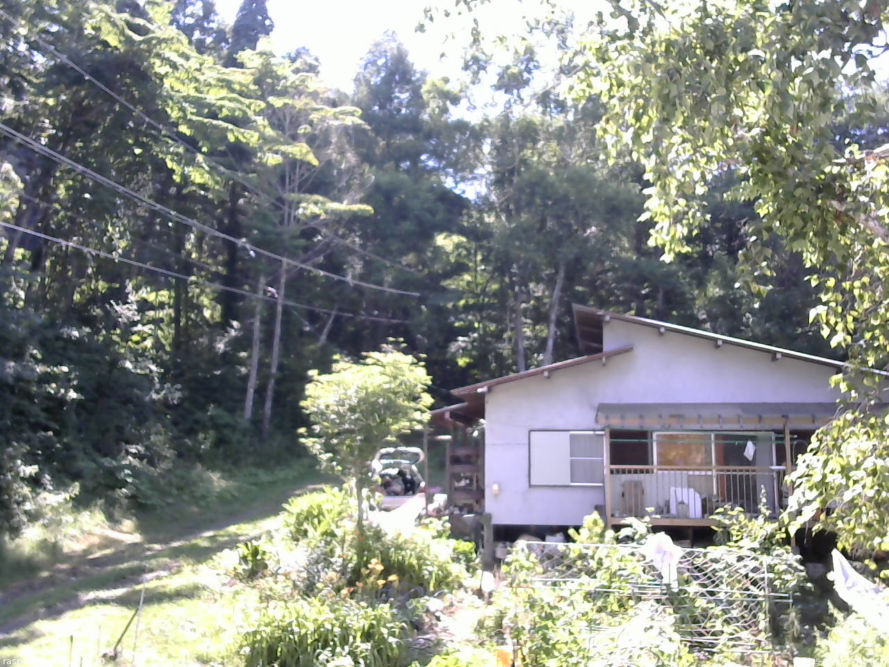 長野県菅平高原 ゆたか山荘 西側(坂上) 2025/07/31 14:45