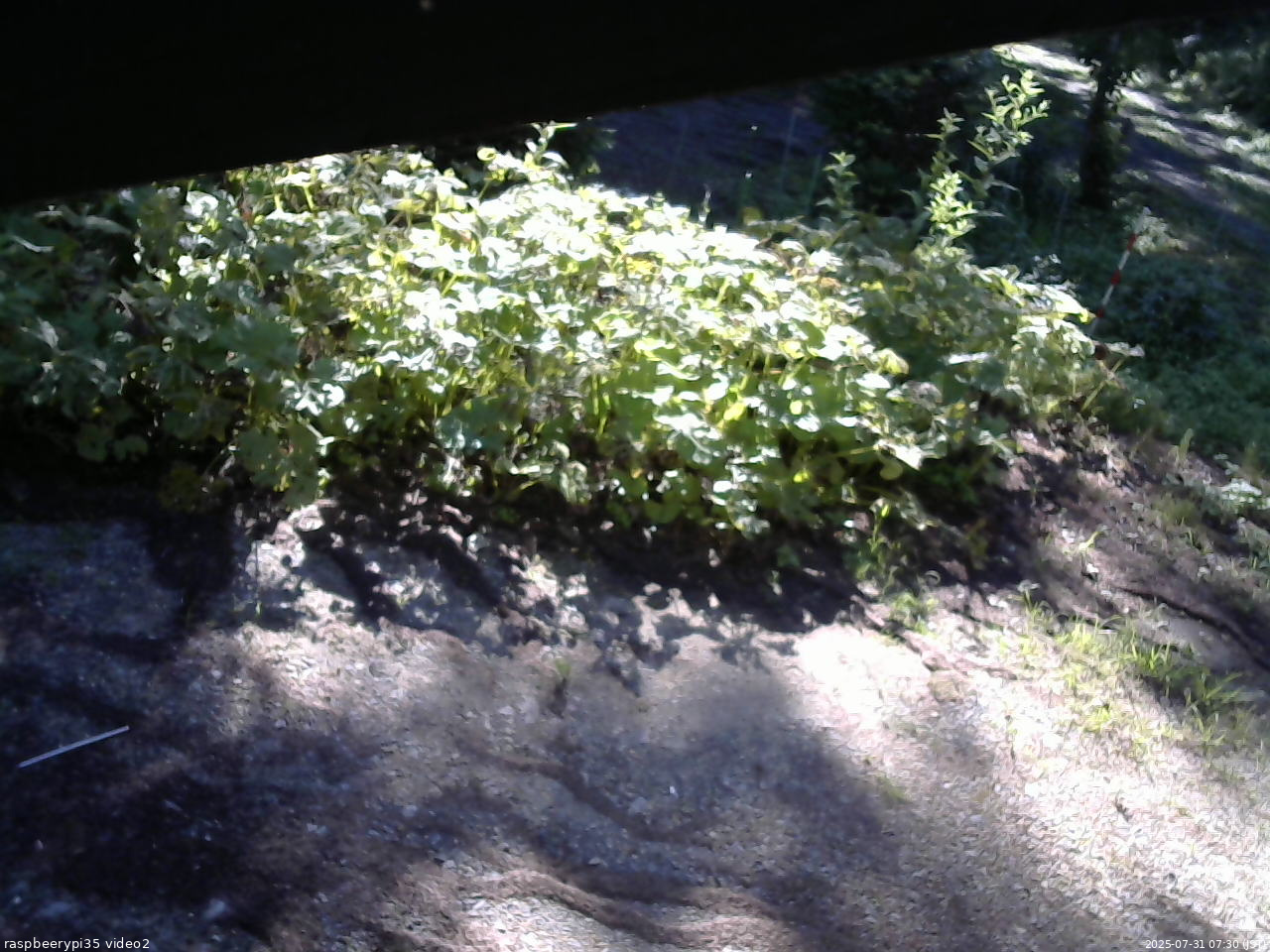 長野県菅平高原 ゆたか山荘 駐車場 2025/07/31 07:30