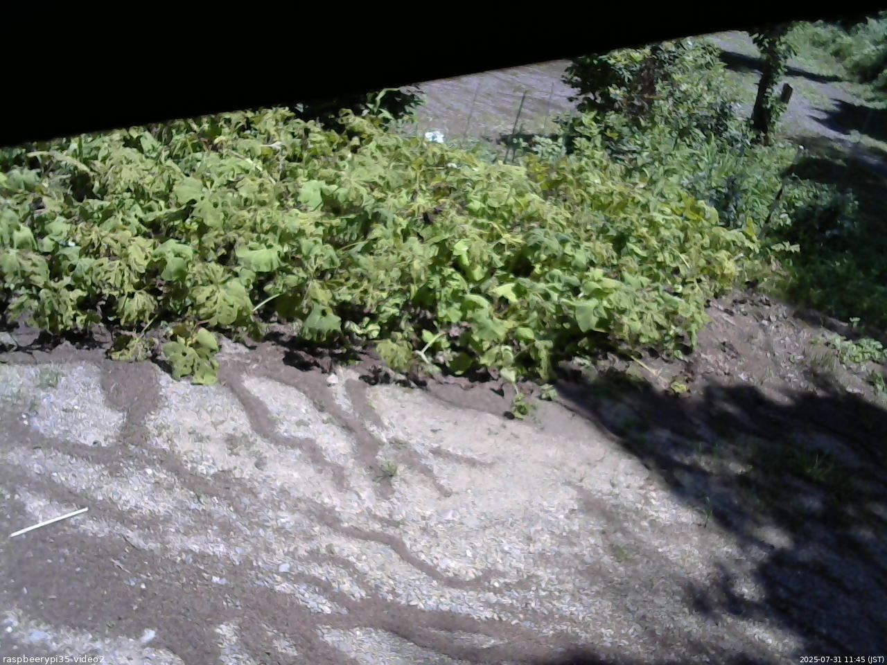 長野県菅平高原 ゆたか山荘 駐車場 2025/07/31 11:45