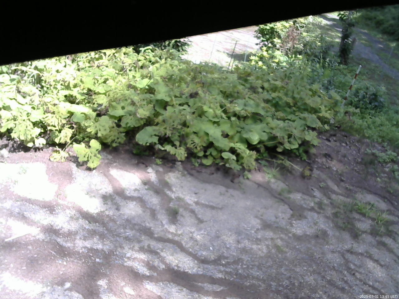 長野県菅平高原 ゆたか山荘 駐車場 2025/07/31 13:45
