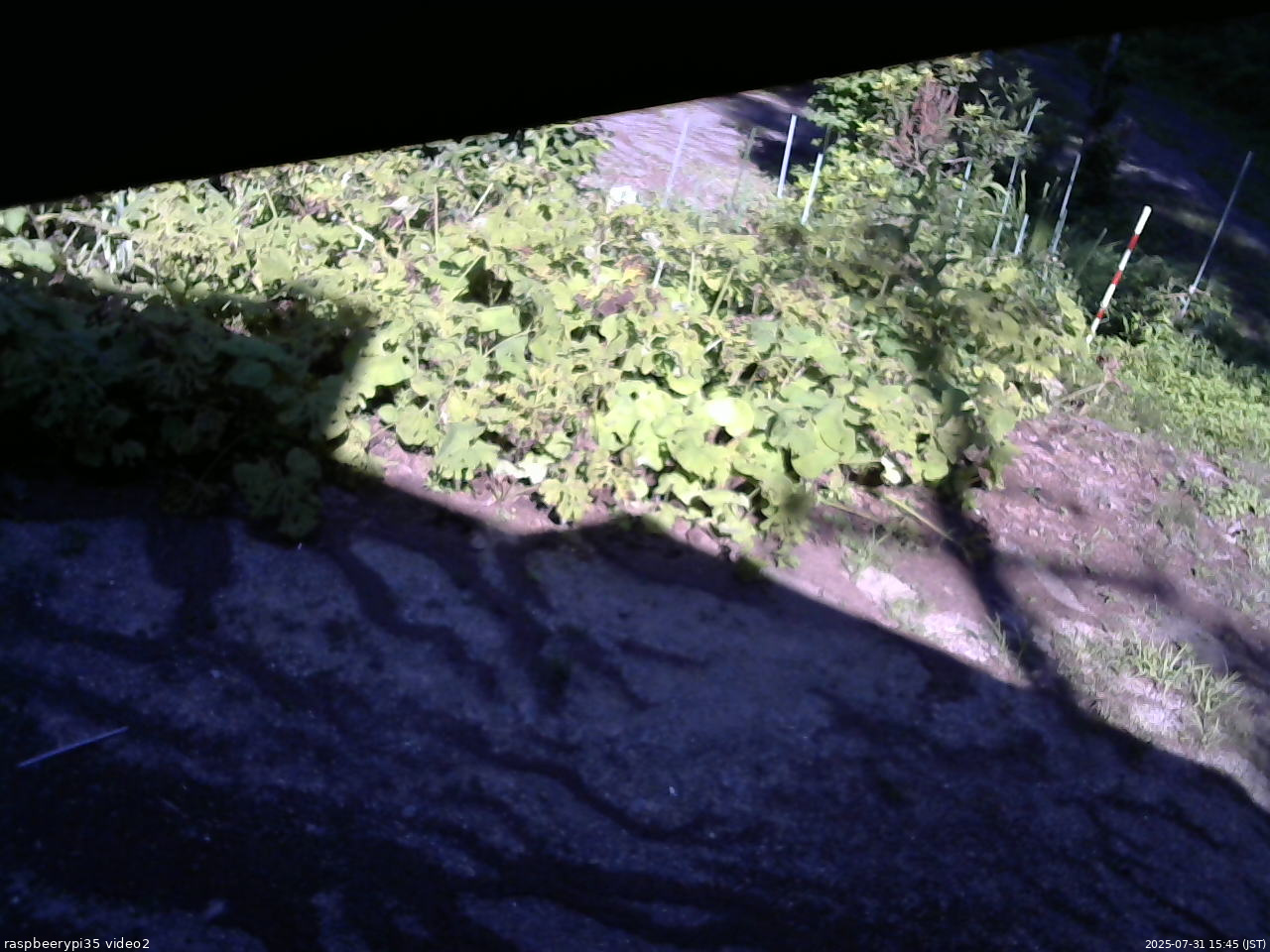長野県菅平高原 ゆたか山荘 駐車場 2025/07/31 15:45