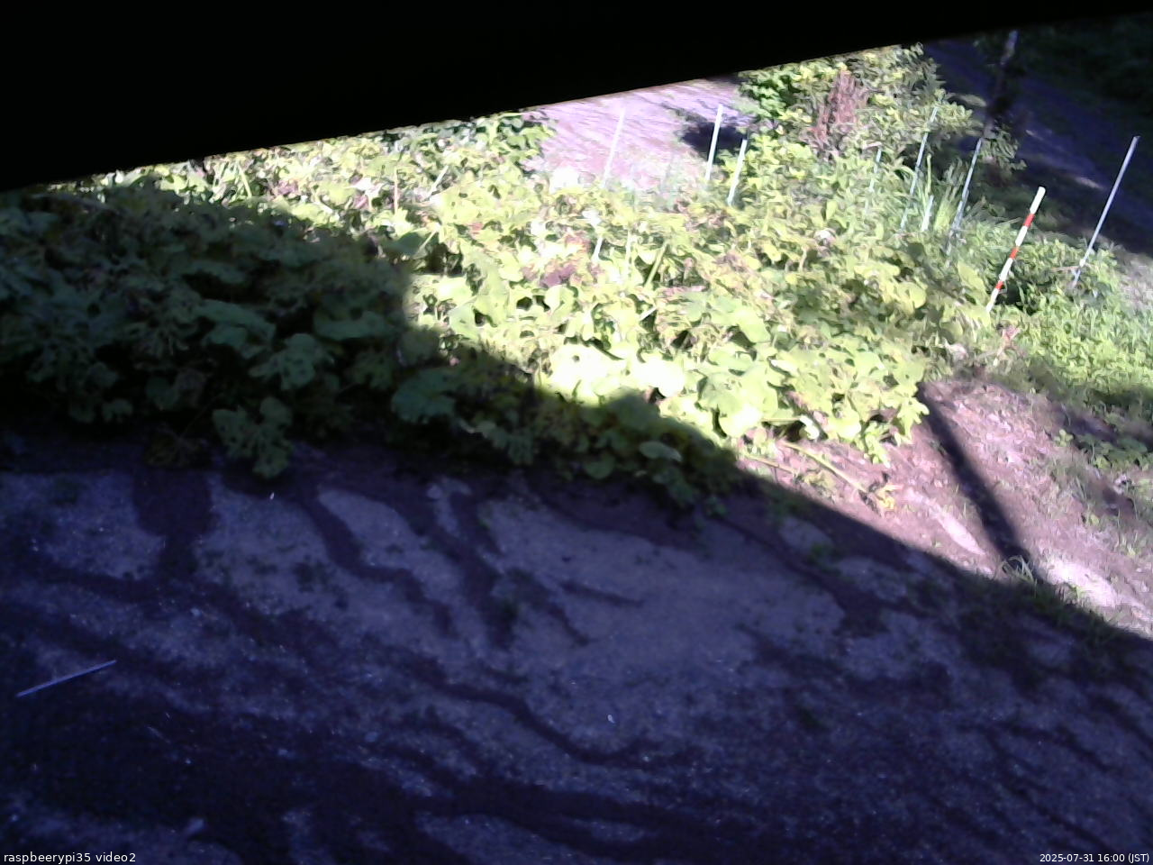 長野県菅平高原 ゆたか山荘 駐車場 2025/07/31 16:00