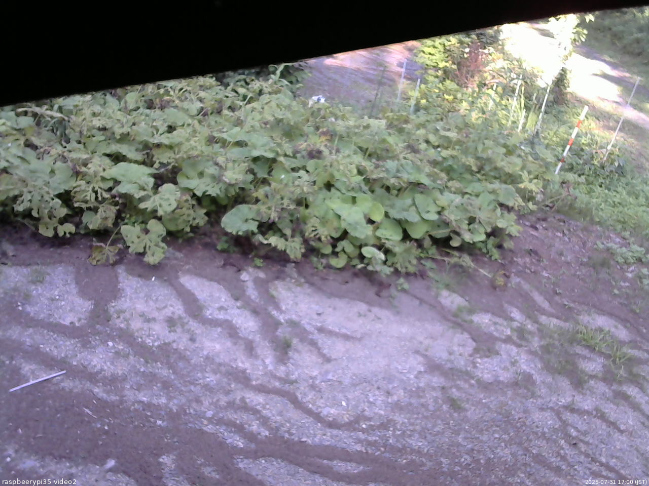 長野県菅平高原 ゆたか山荘 駐車場 2025/07/31 17:00