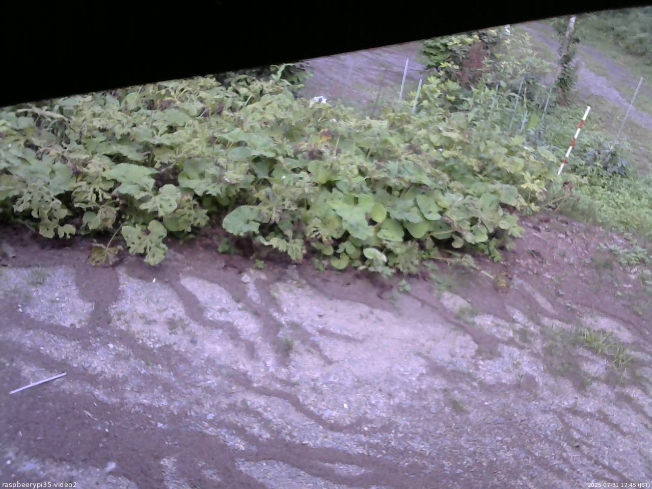 長野県菅平高原 ゆたか山荘 駐車場 2025/07/31 17:45