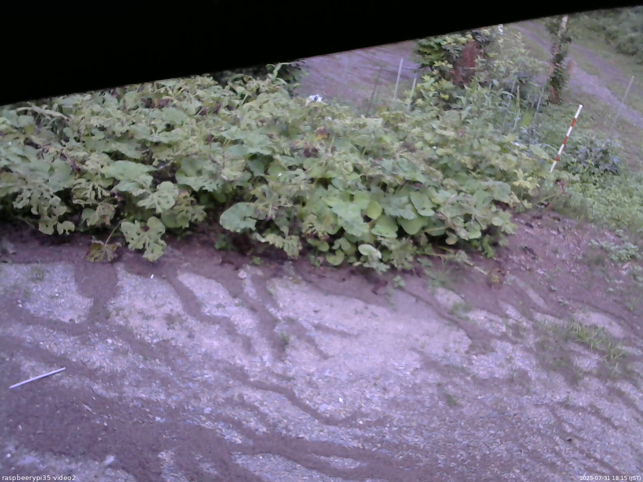 長野県菅平高原 ゆたか山荘 駐車場 2025/07/31 18:15