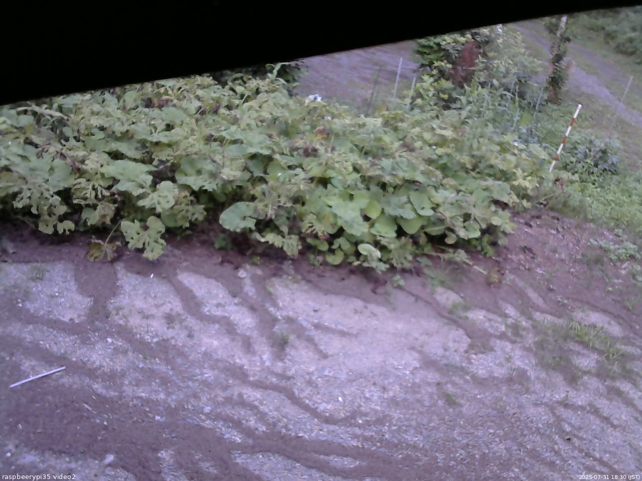 長野県菅平高原 ゆたか山荘 駐車場 2025/07/31 18:30