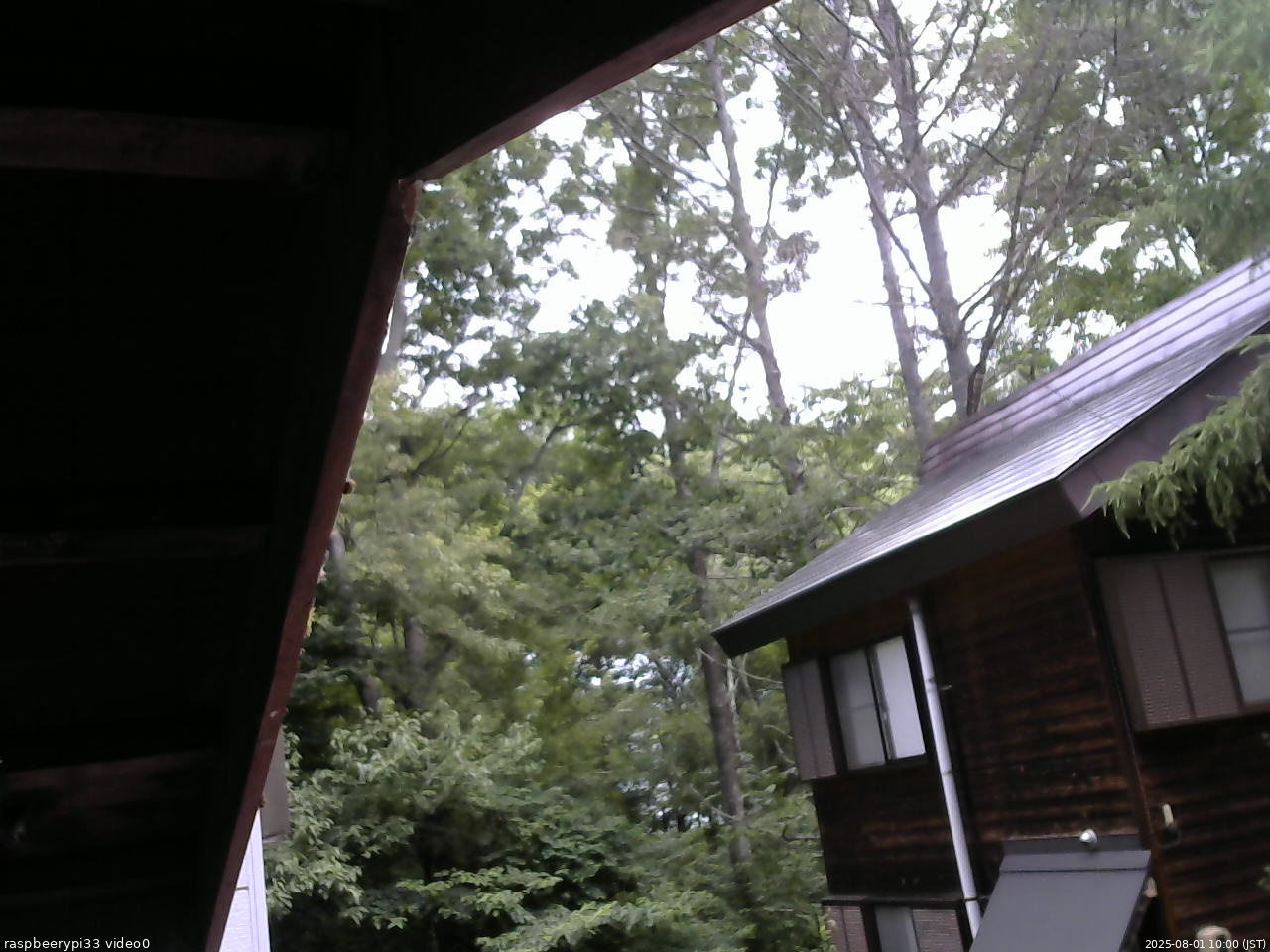 長野県菅平高原 ゆたか山荘 北側 2025/08/01 10:00