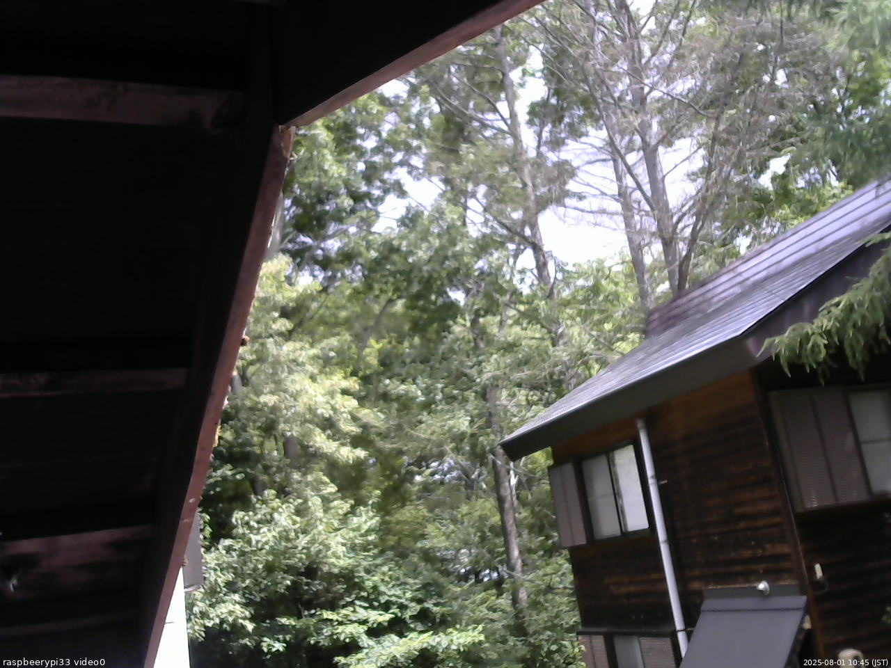 長野県菅平高原 ゆたか山荘 北側 2025/08/01 10:45