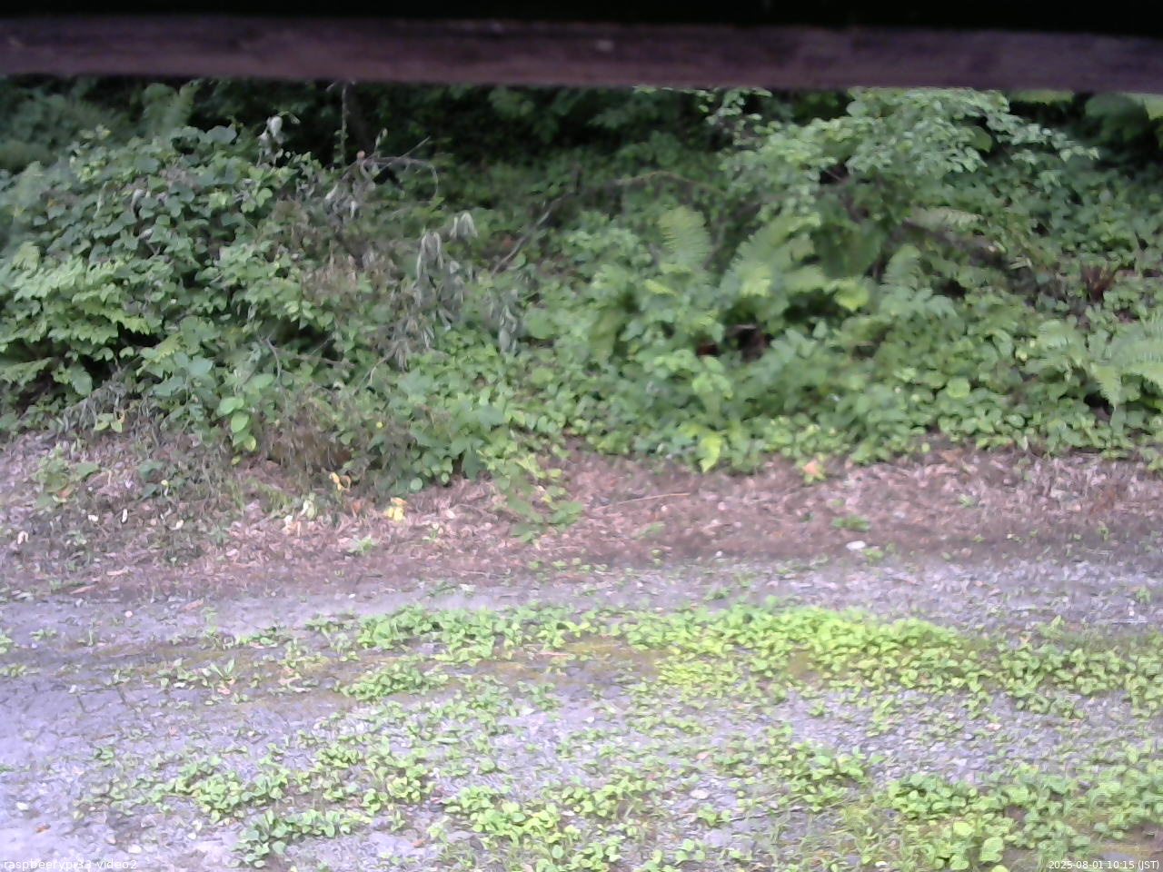長野県菅平高原 ゆたか山荘 南側 2025/08/01 10:15