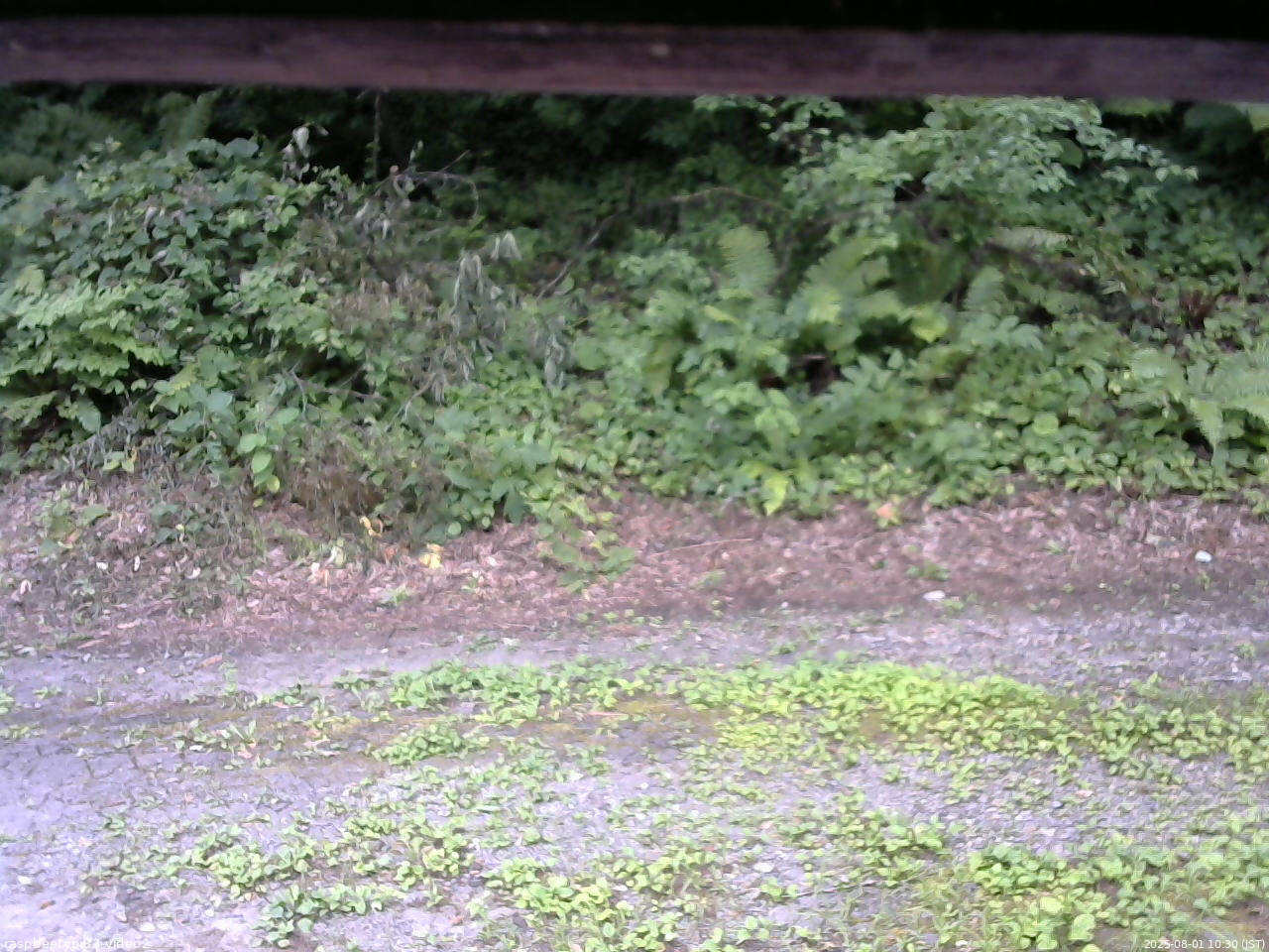 長野県菅平高原 ゆたか山荘 南側 2025/08/01 10:30