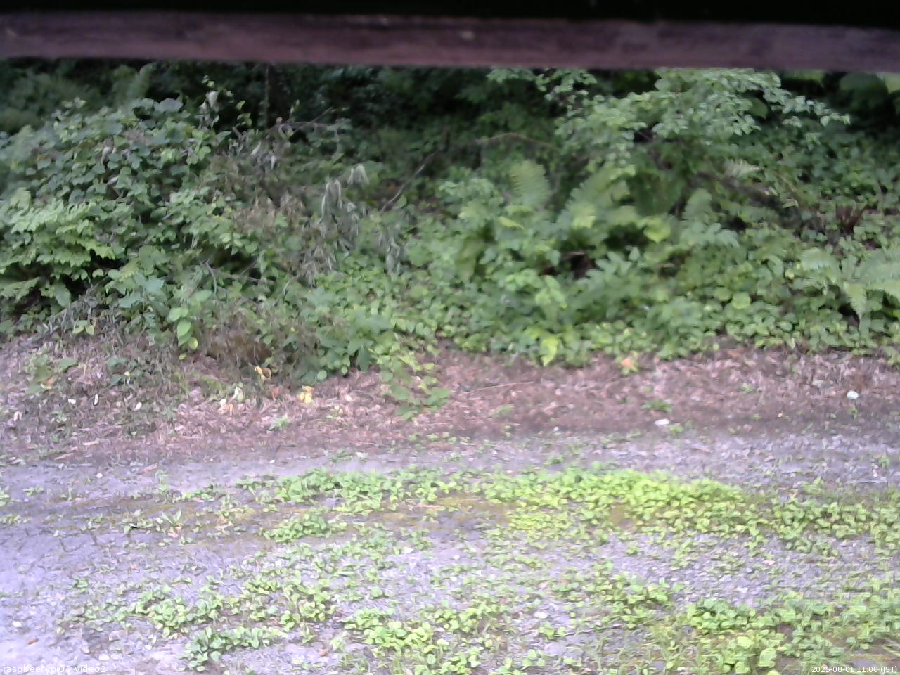 長野県菅平高原 ゆたか山荘 南側 2025/08/01 11:00