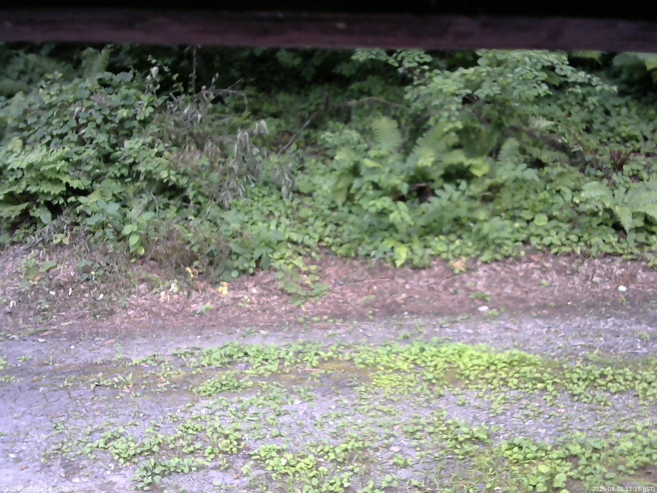 長野県菅平高原 ゆたか山荘 南側 2025/08/01 11:15