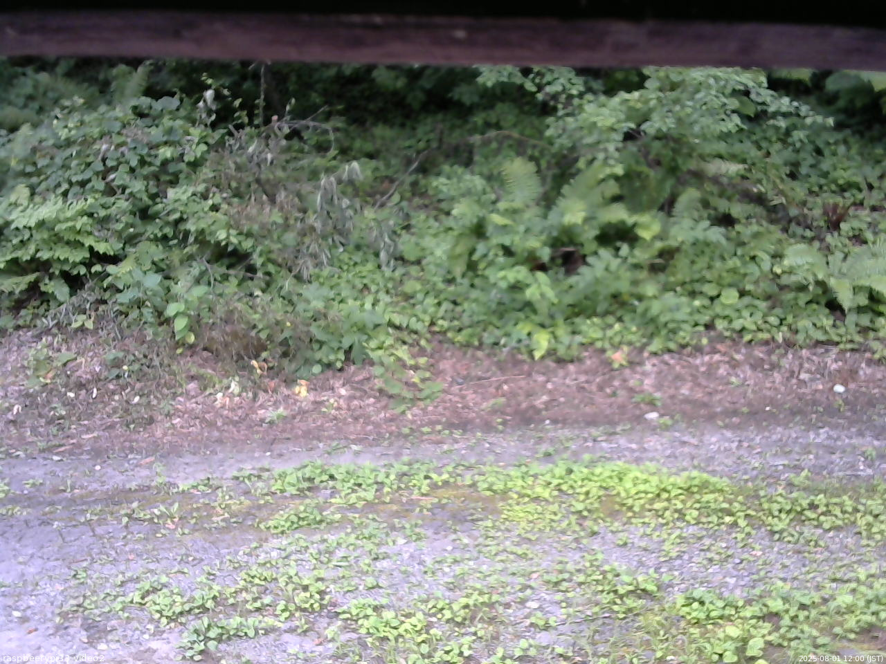 長野県菅平高原 ゆたか山荘 南側 2025/08/01 12:00