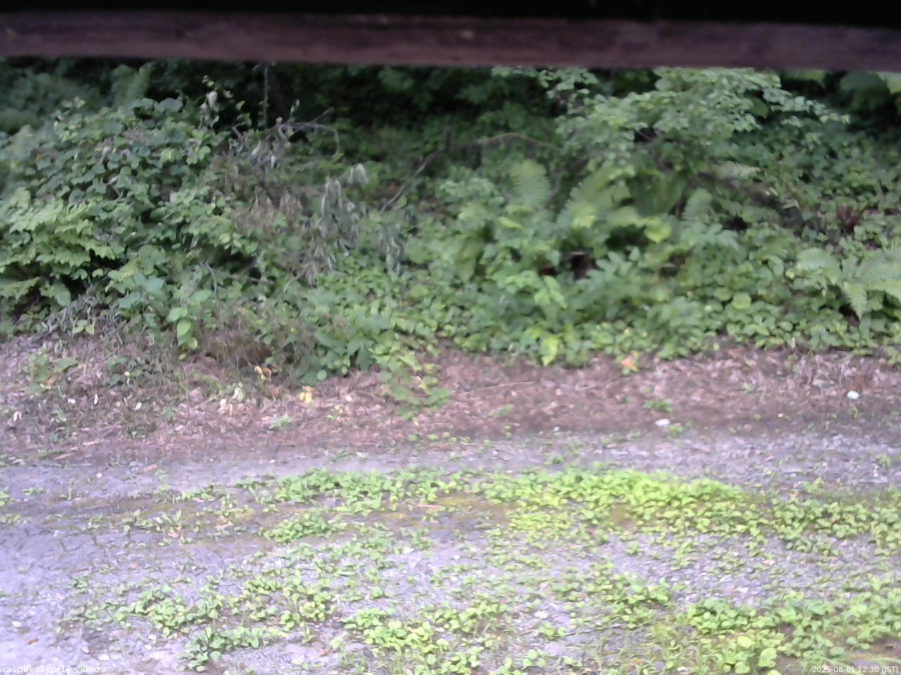 長野県菅平高原 ゆたか山荘 南側 2025/08/01 12:30