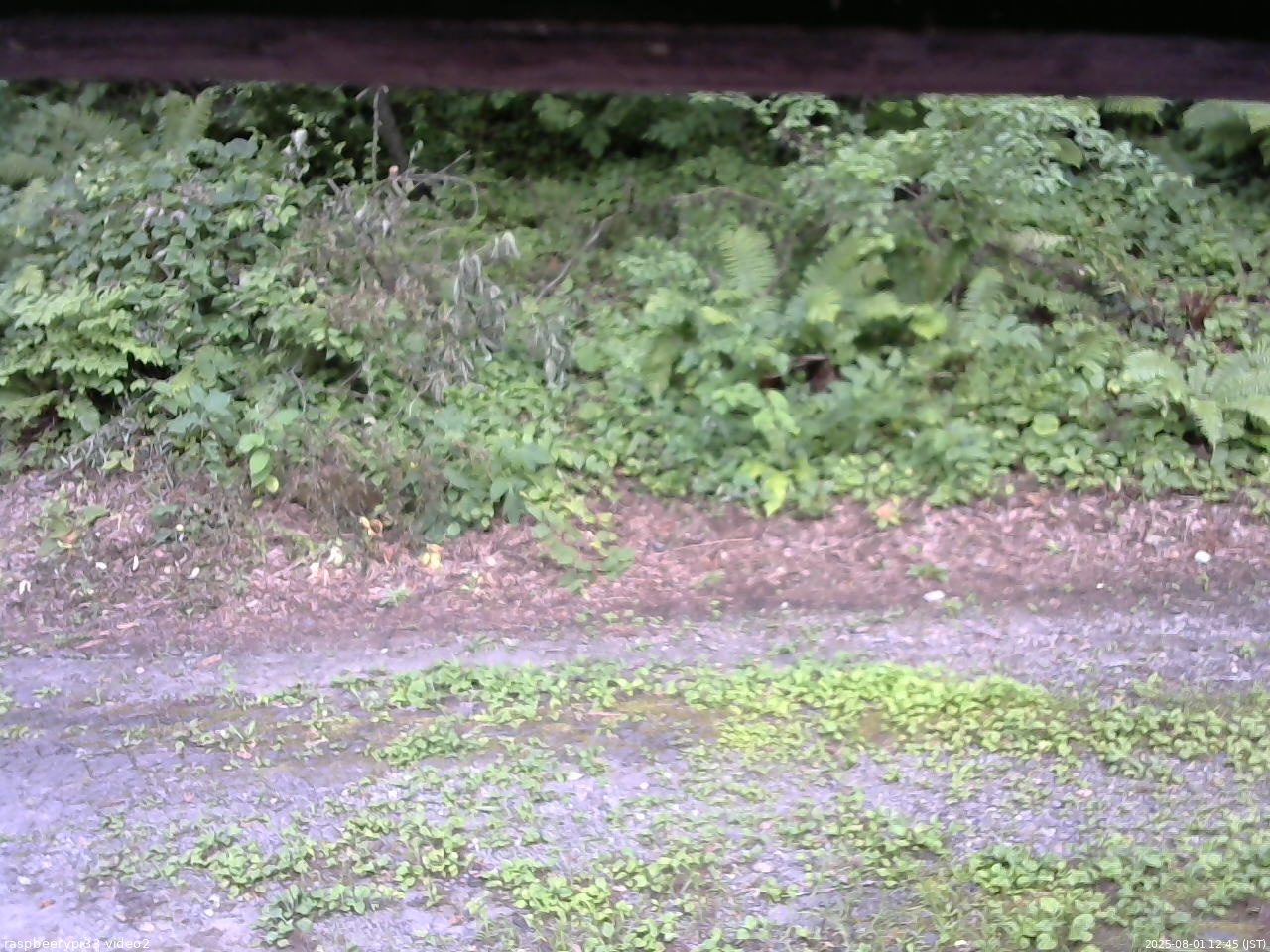 長野県菅平高原 ゆたか山荘 南側 2025/08/01 12:45