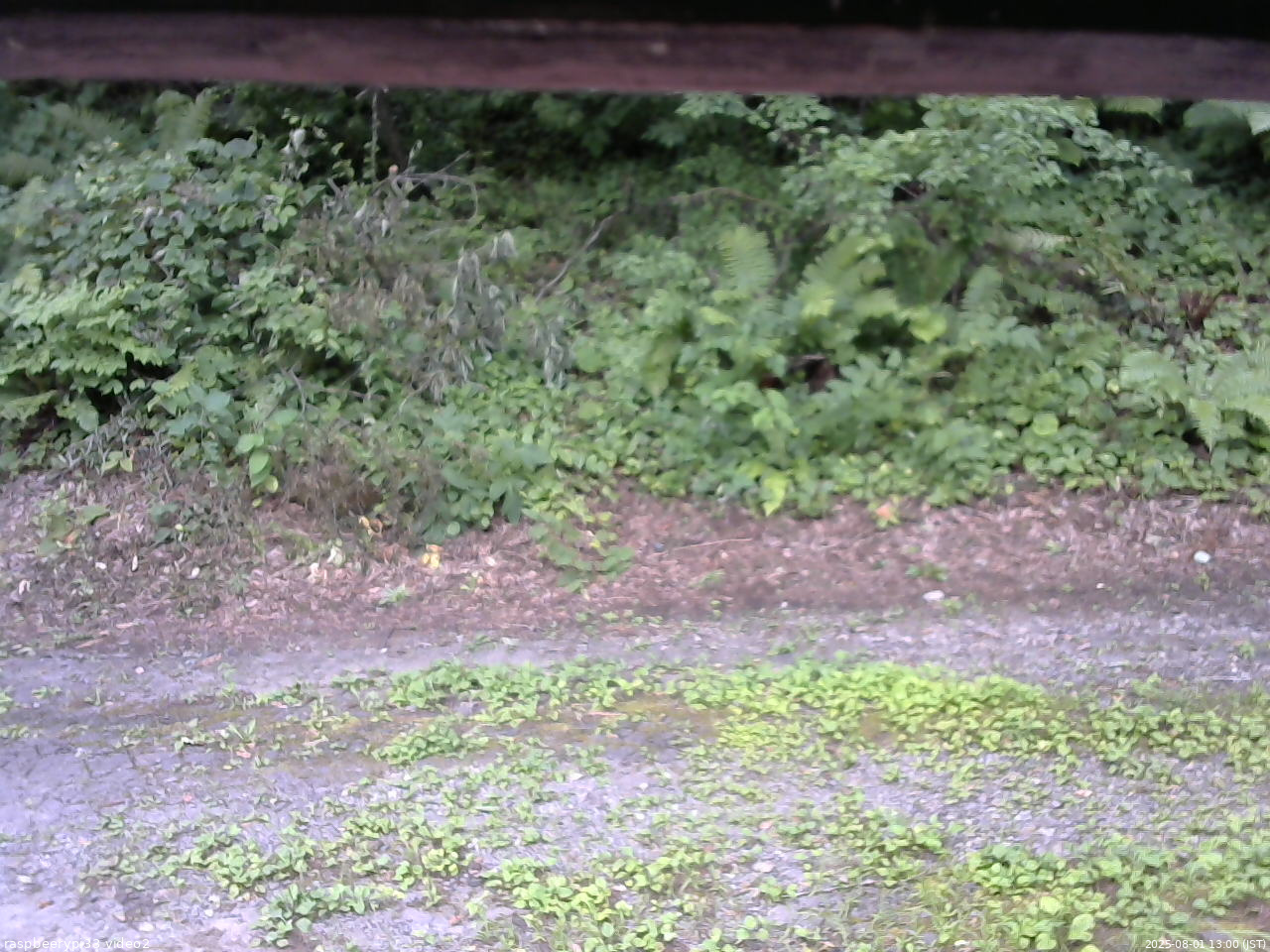 長野県菅平高原 ゆたか山荘 南側 2025/08/01 13:00