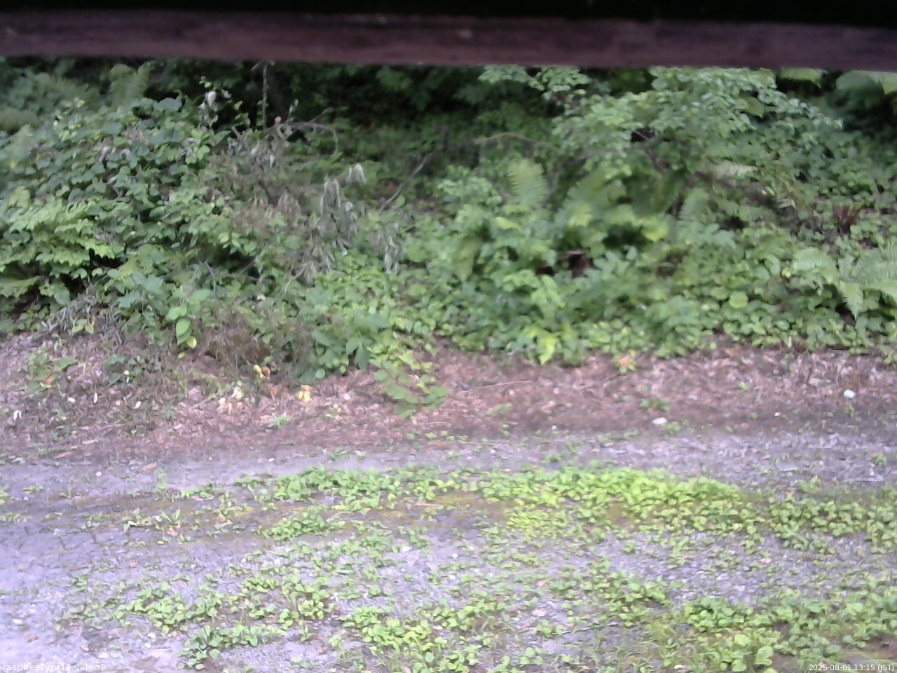 長野県菅平高原 ゆたか山荘 南側 2025/08/01 13:15