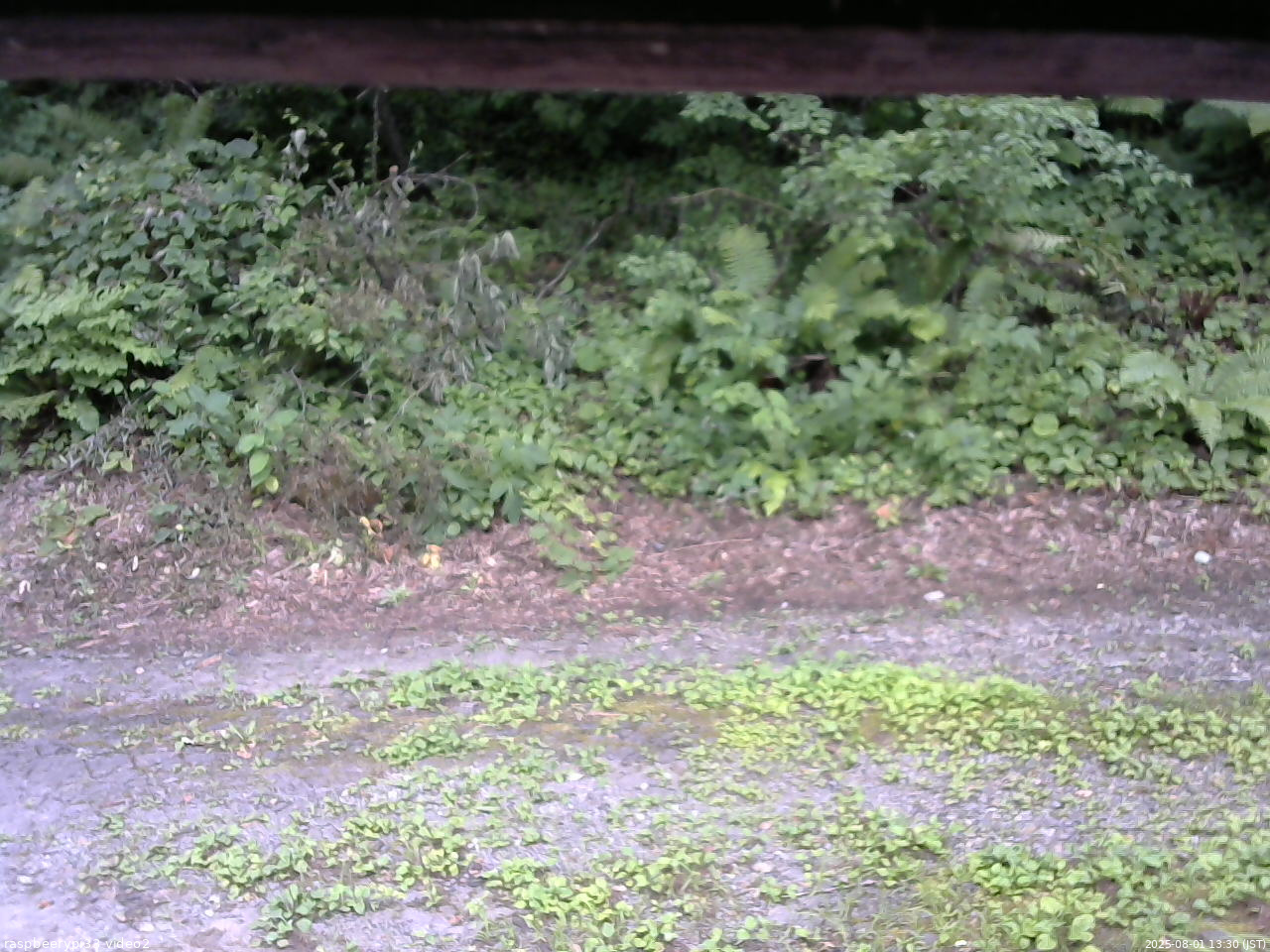 長野県菅平高原 ゆたか山荘 南側 2025/08/01 13:30