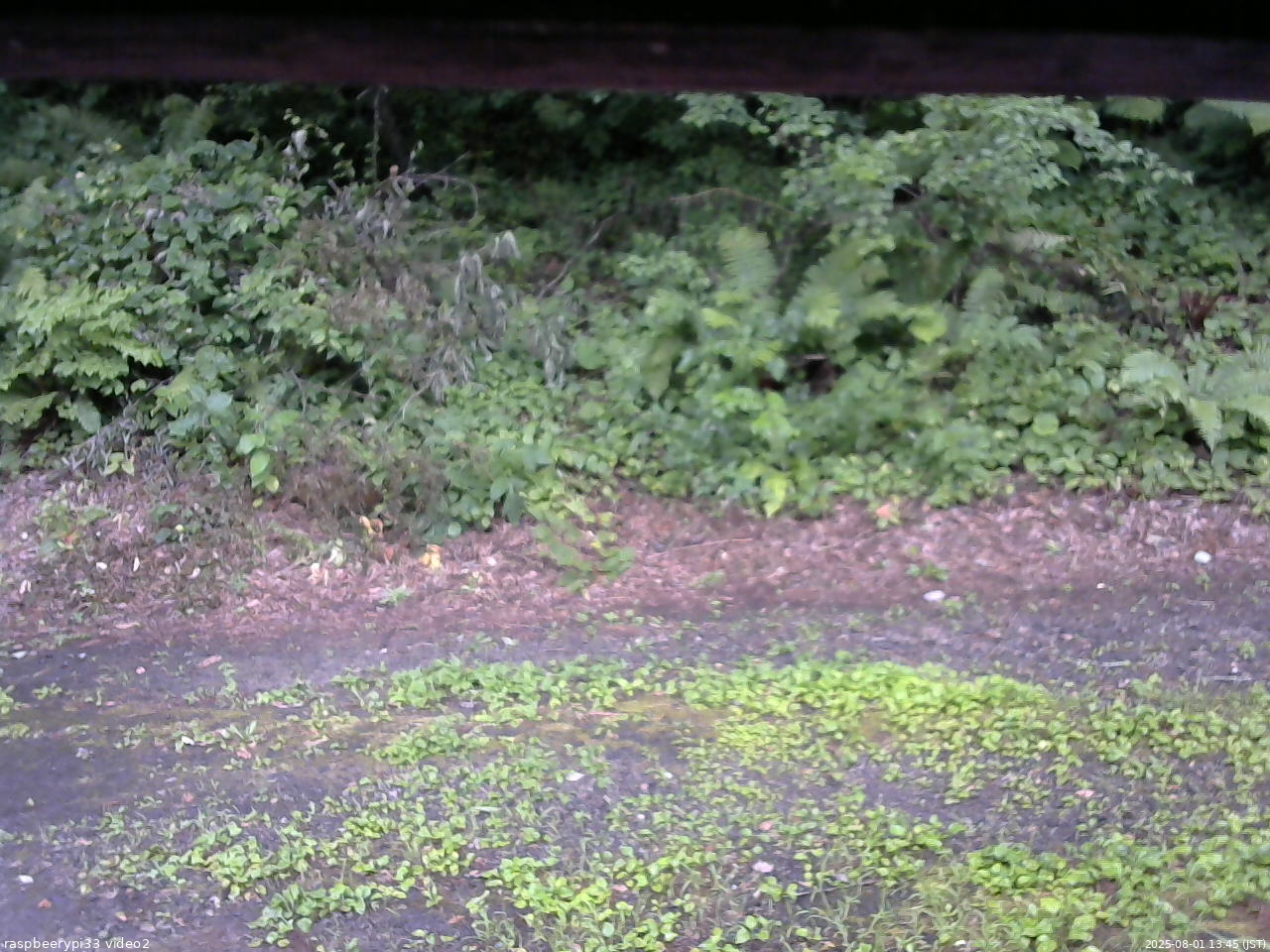長野県菅平高原 ゆたか山荘 南側 2025/08/01 13:45