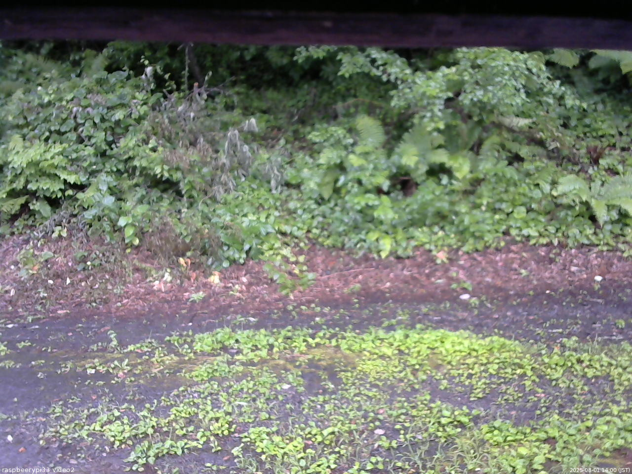 長野県菅平高原 ゆたか山荘 南側 2025/08/01 14:00