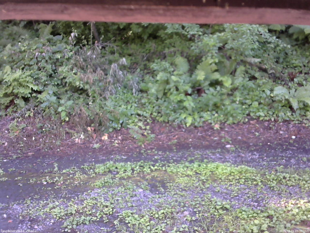 長野県菅平高原 ゆたか山荘 南側 2025/08/01 15:30