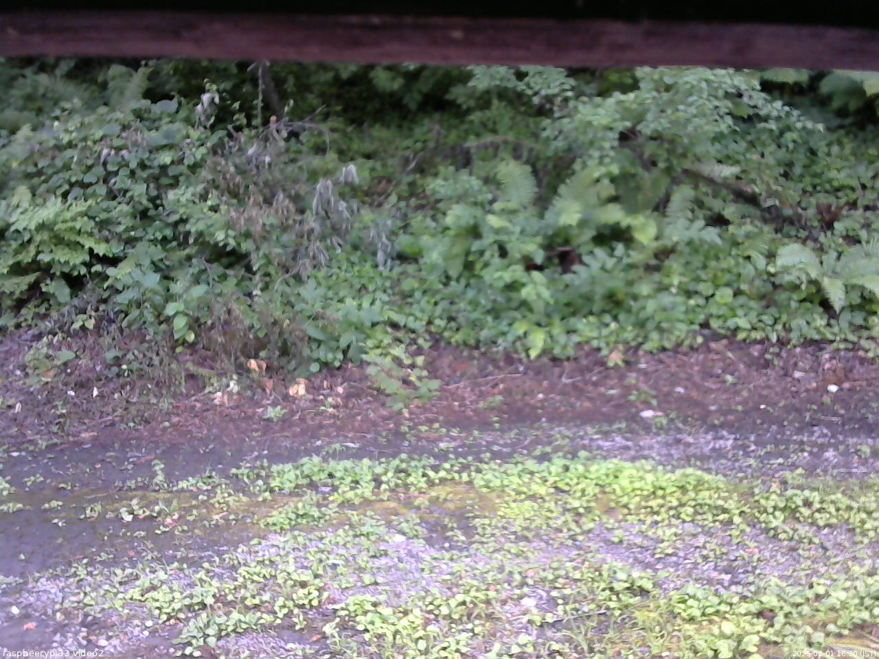 長野県菅平高原 ゆたか山荘 南側 2025/08/01 16:30