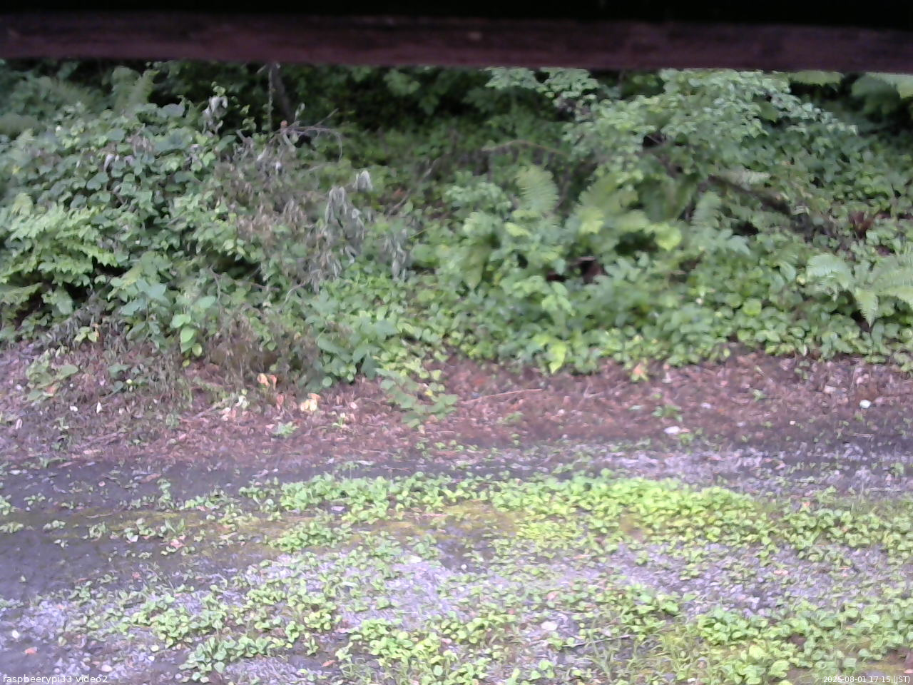長野県菅平高原 ゆたか山荘 南側 2025/08/01 17:15