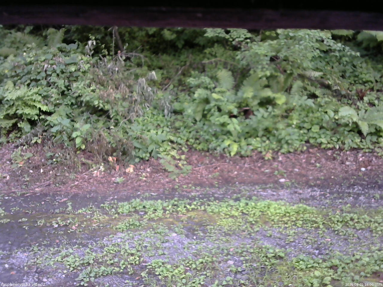 長野県菅平高原 ゆたか山荘 南側 2025/08/01 18:00