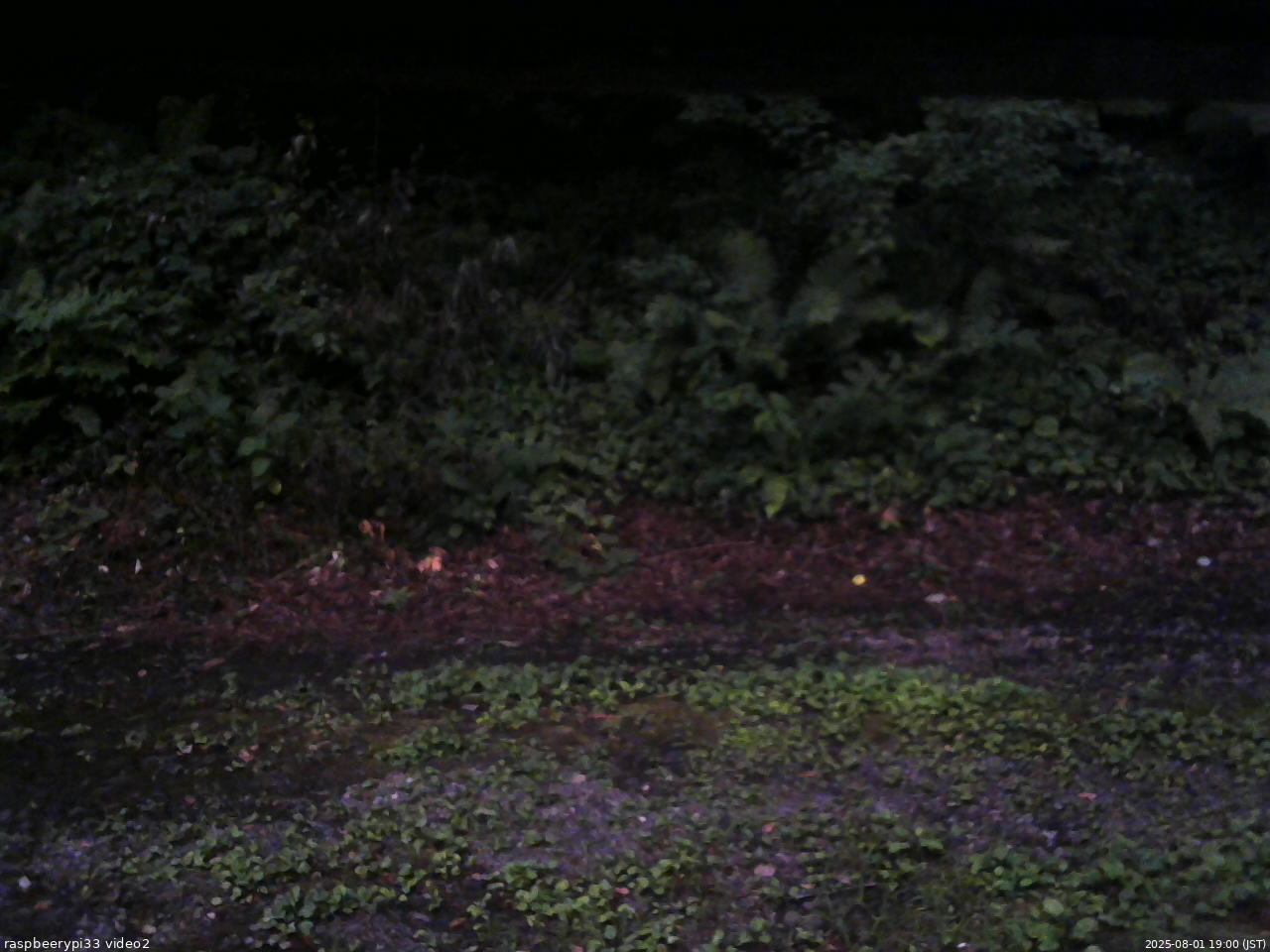 長野県菅平高原 ゆたか山荘 南側 2025/08/01 19:00
