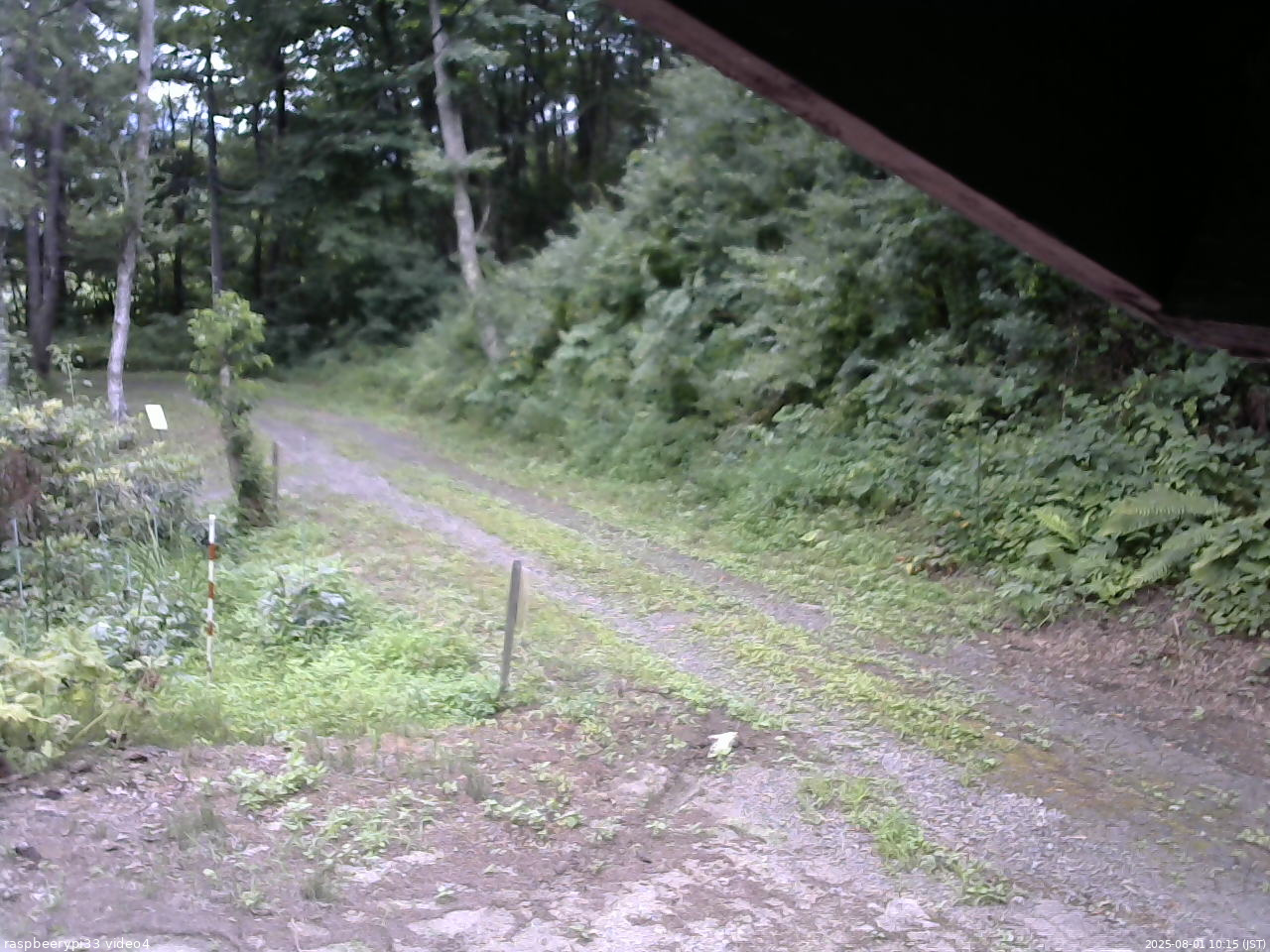 長野県菅平高原 ゆたか山荘 東側(坂下) 2025/08/01 10:15