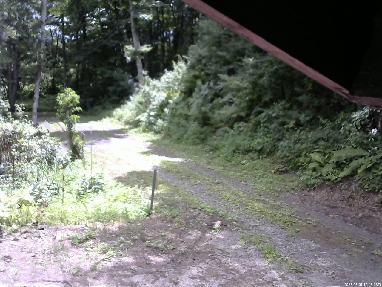 長野県菅平高原 ゆたか山荘 東側(坂下) 2025/08/01 10:45