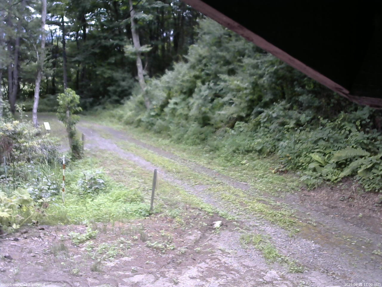 長野県菅平高原 ゆたか山荘 東側(坂下) 2025/08/01 11:00