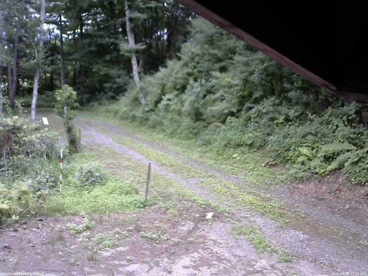 長野県菅平高原 ゆたか山荘 東側(坂下) 2025/08/01 11:15