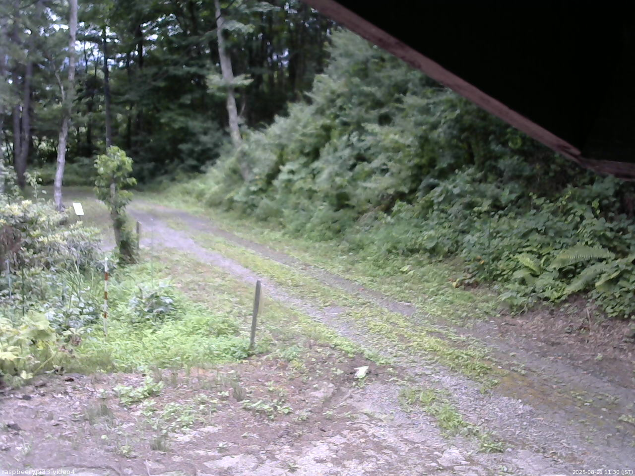 長野県菅平高原 ゆたか山荘 東側(坂下) 2025/08/01 11:30