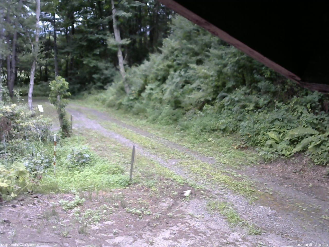 長野県菅平高原 ゆたか山荘 東側(坂下) 2025/08/01 12:00