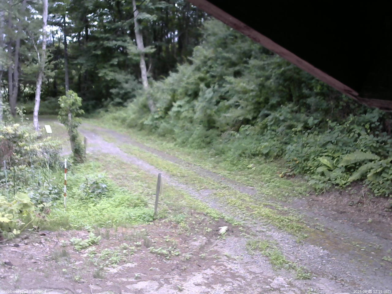長野県菅平高原 ゆたか山荘 東側(坂下) 2025/08/01 12:15
