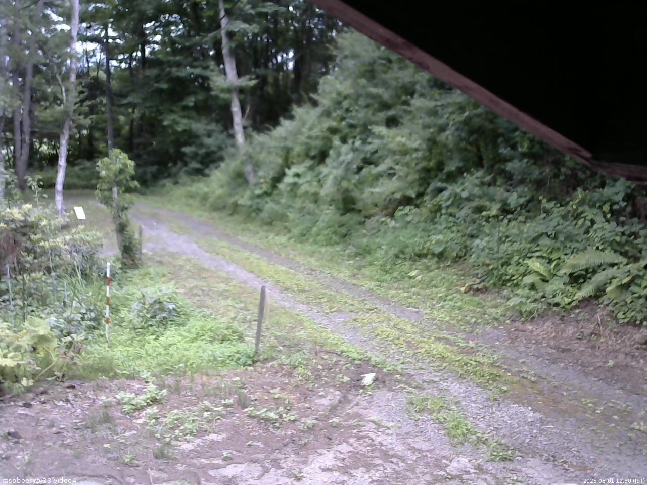 長野県菅平高原 ゆたか山荘 東側(坂下) 2025/08/01 12:30