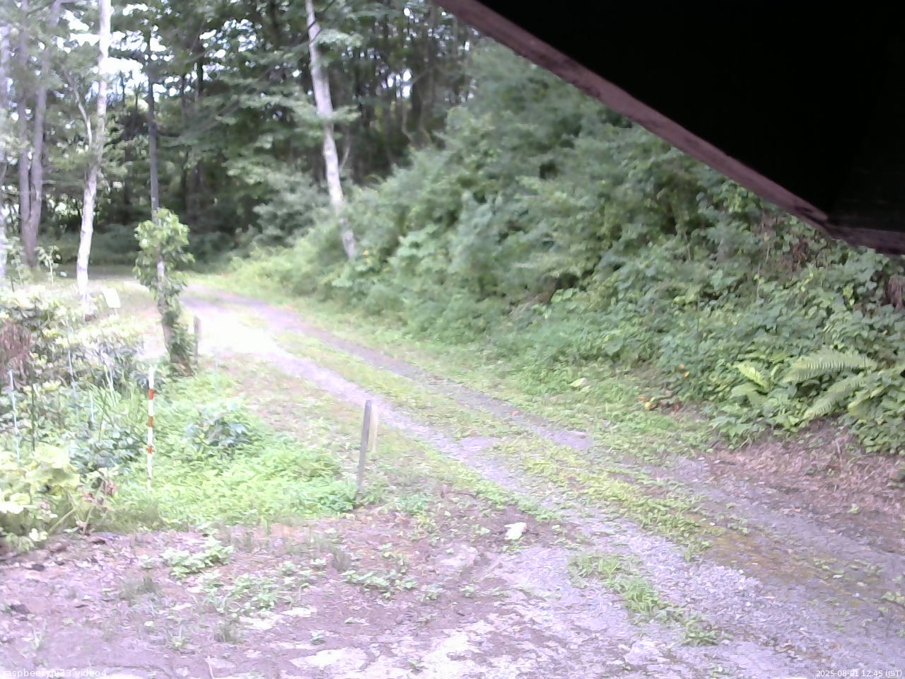 長野県菅平高原 ゆたか山荘 東側(坂下) 2025/08/01 12:45