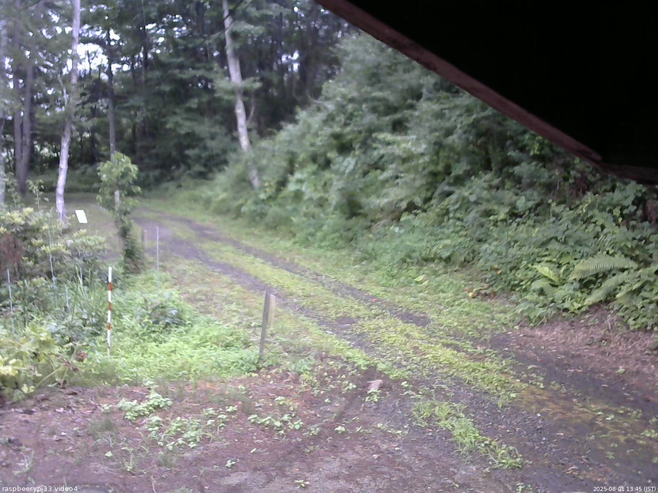 長野県菅平高原 ゆたか山荘 東側(坂下) 2025/08/01 13:45