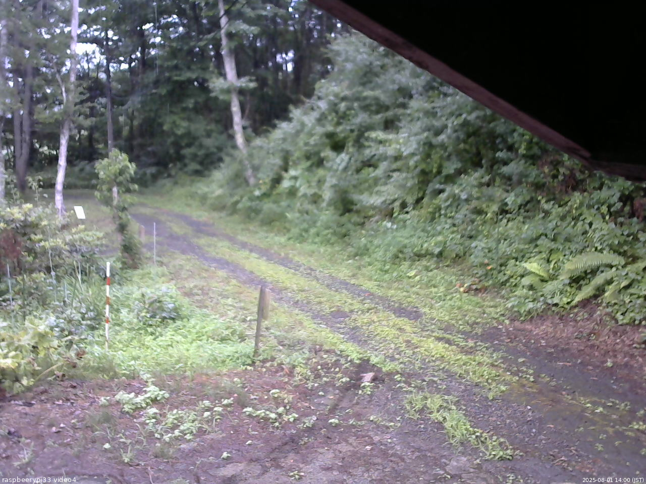 長野県菅平高原 ゆたか山荘 東側(坂下) 2025/08/01 14:00