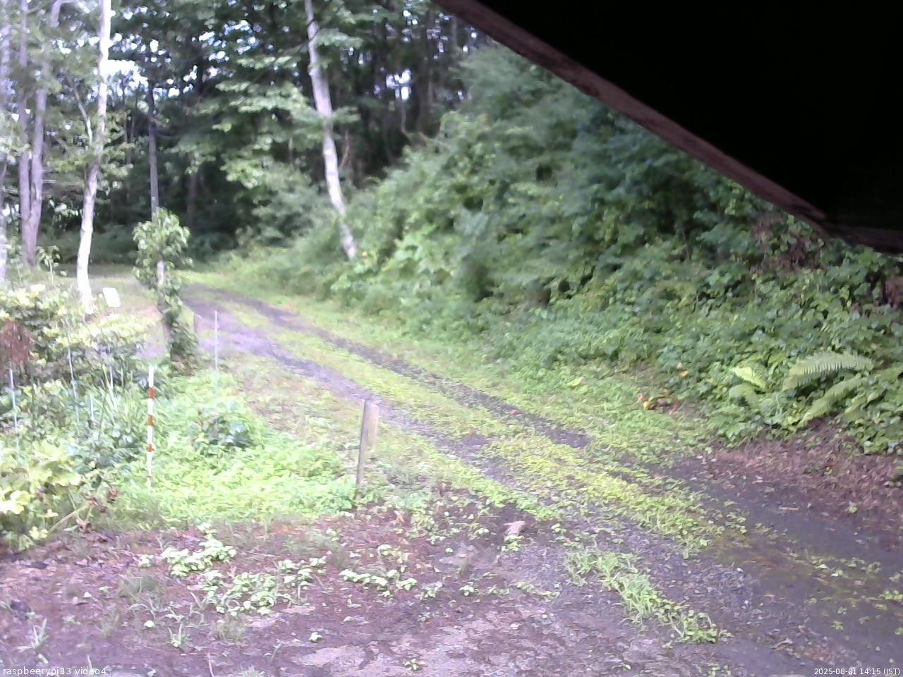 長野県菅平高原 ゆたか山荘 東側(坂下) 2025/08/01 14:15