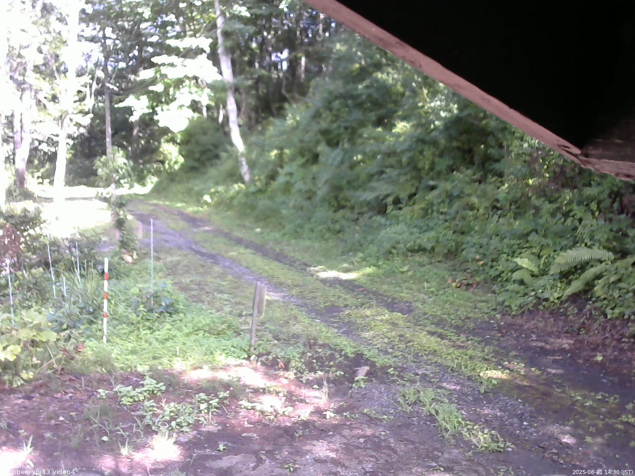 長野県菅平高原 ゆたか山荘 東側(坂下) 2025/08/01 14:30