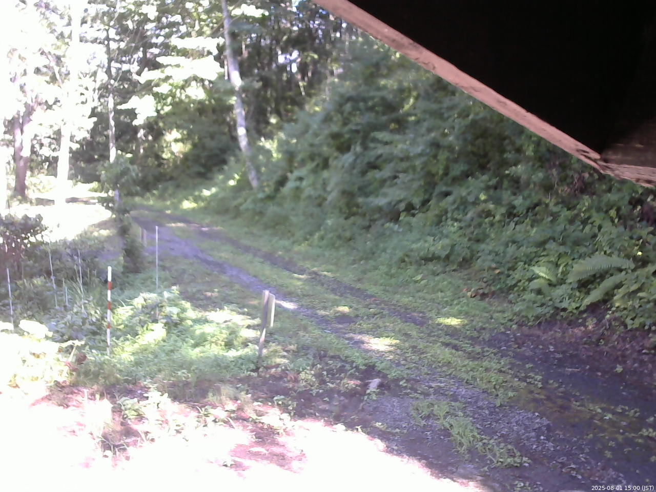 長野県菅平高原 ゆたか山荘 東側(坂下) 2025/08/01 15:00