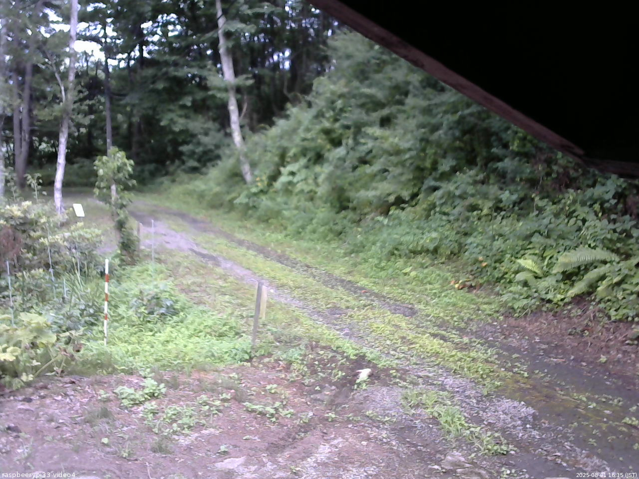 長野県菅平高原 ゆたか山荘 東側(坂下) 2025/08/01 16:15