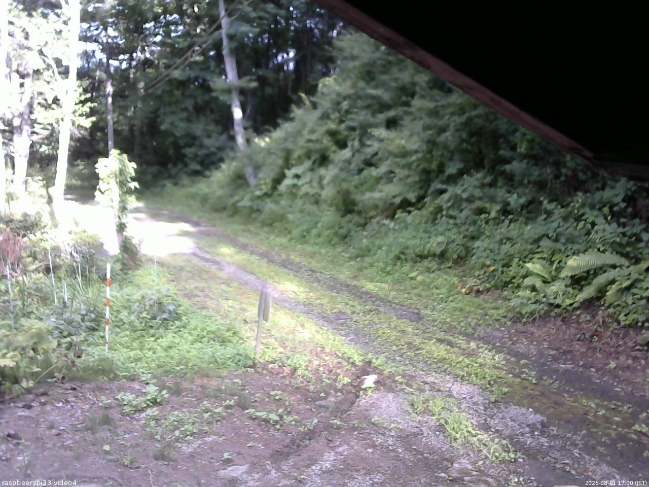 長野県菅平高原 ゆたか山荘 東側(坂下) 2025/08/01 17:00