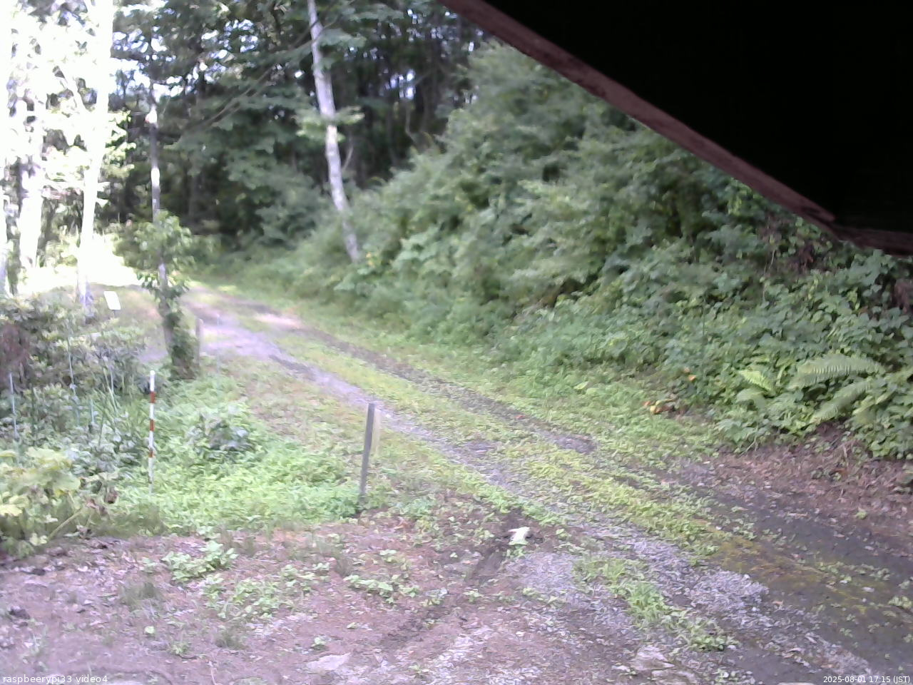 長野県菅平高原 ゆたか山荘 東側(坂下) 2025/08/01 17:15