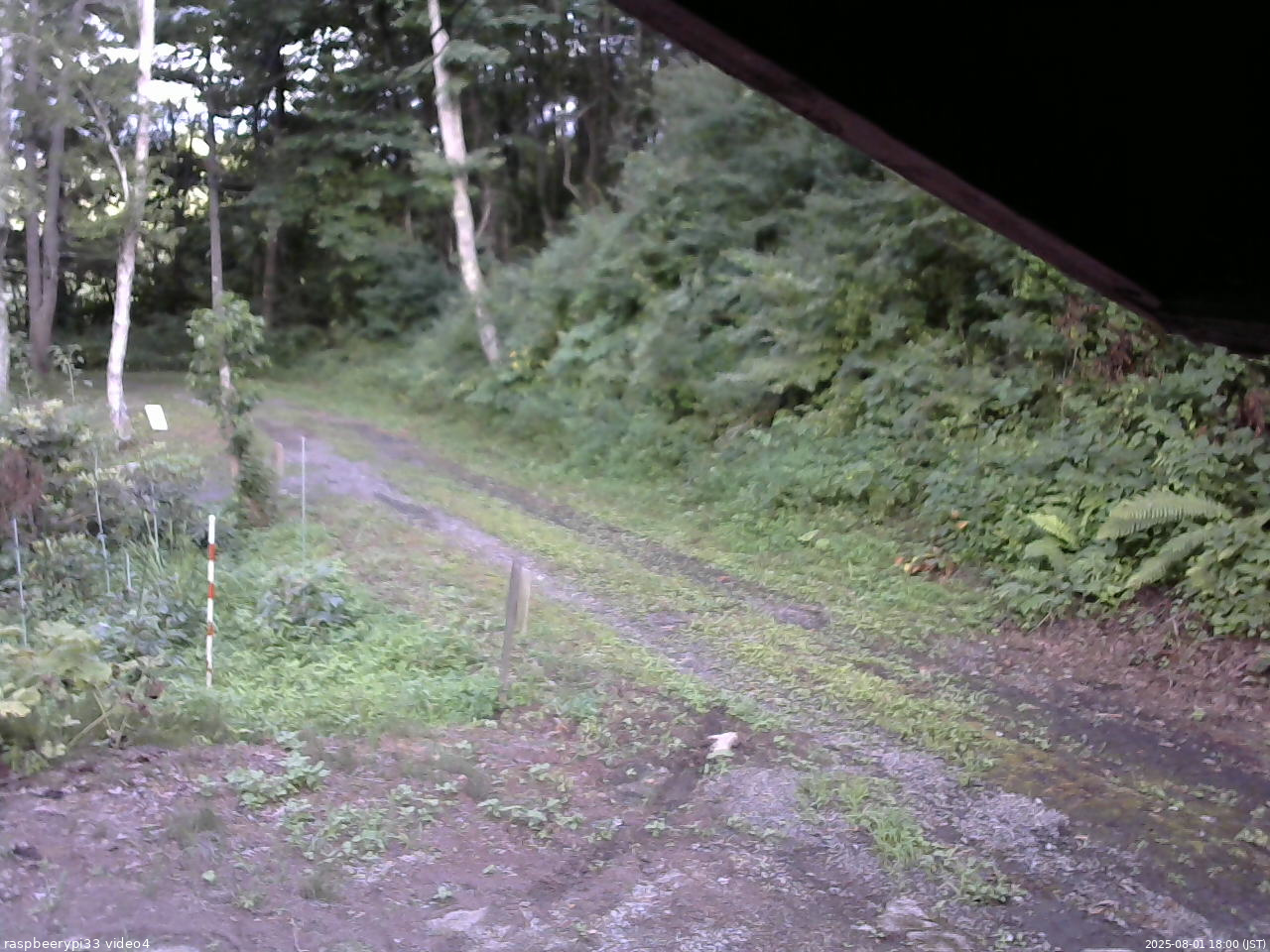 長野県菅平高原 ゆたか山荘 東側(坂下) 2025/08/01 18:00
