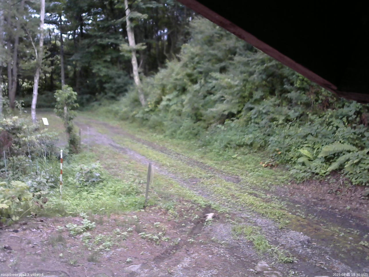 長野県菅平高原 ゆたか山荘 東側(坂下) 2025/08/01 18:30